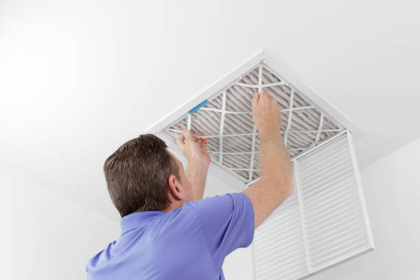 Best Local Air Duct Cleaning Services  in Seville, FL